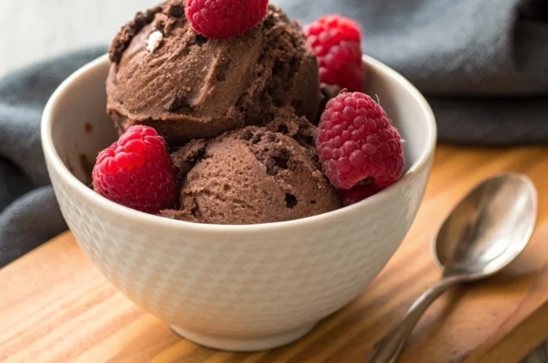 Vegan Chocolate Raspberry Ice Cream